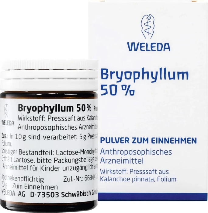 Bryophyllum 50%, 50 g
