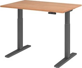 Hammerbacher Ergonomic Aktiv XMKA12 elektrisch höhenverstellbarer Sitz-Steh-Schreibtisch 120x80cm Nussbaum/grau