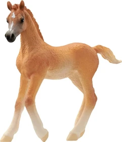 Schleich Horse Club - Araber Fohlen