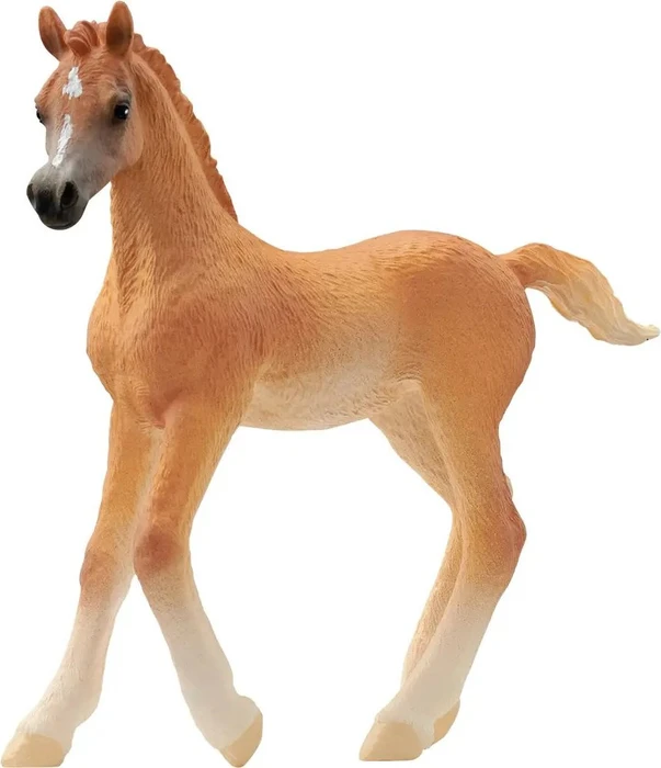 Schleich Horse Club - Araber Fohlen