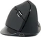 Conceptronic LORCAN03B ERGO Vertikale 6-Tasten Bluetooth Maus schwarz, Bluetooth Vorschaubild