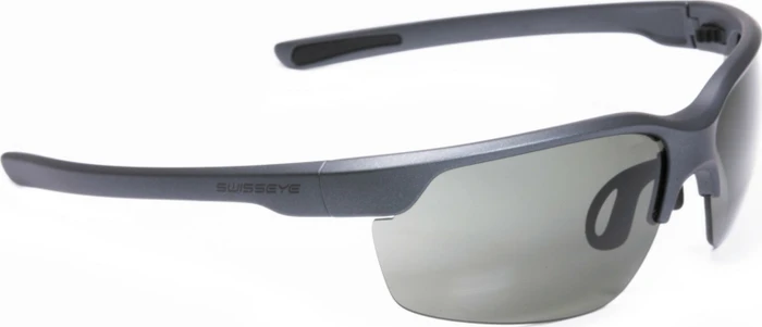 Swiss Eye Wire