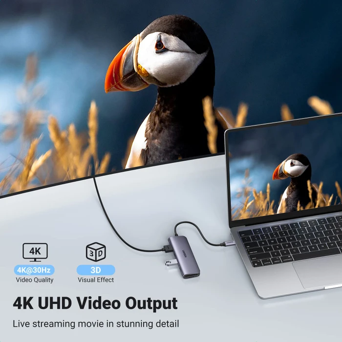 Ugreen Revodok 106 grau, USB-C 3.0 [Stecker]