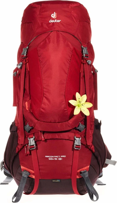 Deuter Aircontact Pro 55+15 SL cranberry/aubergine (Damen)