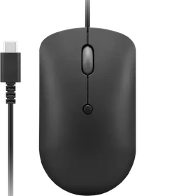 Lenovo 400 USB-C Wired Compact Mouse Raven Black, USB (GY51D20875)