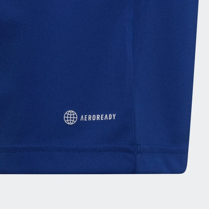 adidas Entrada 22 Trikot kurzarm royal blue (Junior)