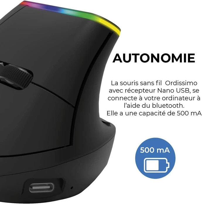Ordissimo Ergonomic Vertical Wireless Mouse schwarz, USB