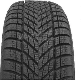 Dunlop Winter 205/55 R16 91H