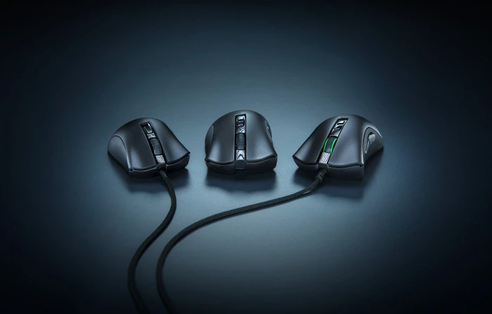 Razer DeathAdder V2 Pro, USB/Bluetooth