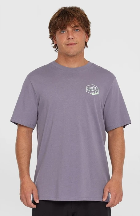 O'Neill Box Logo T-Shirt kurzarm storm (Herren)