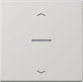 Jung Serie LS eNet Taster Standard 1fach Duroplast mit Pfeilsymbol, lichtgrau