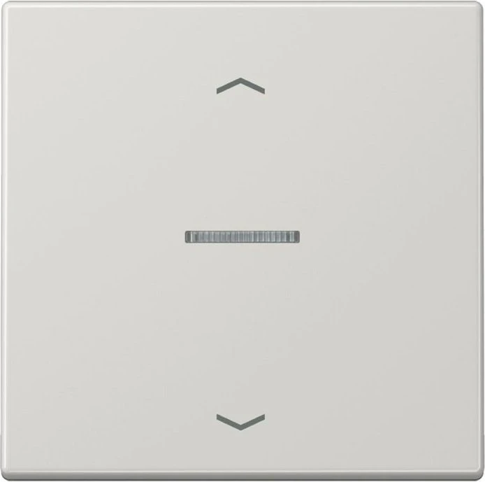 Jung Serie LS eNet Taster Standard 1fach Duroplast mit Pfeilsymbol, lichtgrau