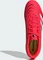 adidas Predator Club MG lucid red/cloud white/core black Vorschaubild