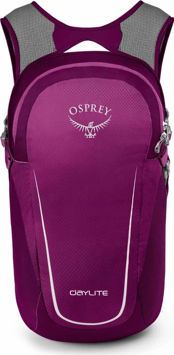 Osprey Daylite Plus 20 eggplant purple