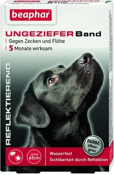 halsband hund personalisiert Hundehalsband mit Namen + Telefon. Stark reflektierend – mypfote.com main image 1