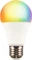 XLayer Smart Echo LED Birne E27 9W Vorschaubild