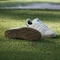 adidas Gazelle Spikeless chalk white/cloud white/night indigo Vorschaubild