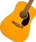 Fender CD-60S Vorschaubild
