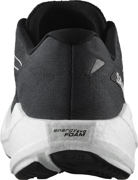 Salomon Aero Glide 3 phantom/white/black (Herren)