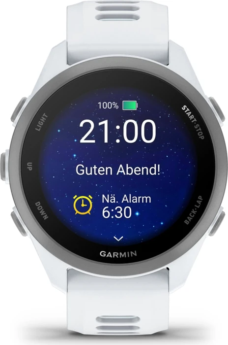 Garmin Forerunner 170 whitestone/whitestone-cloud blue