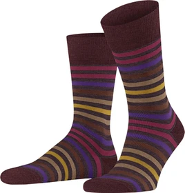 Falke Tinted Stripe Socken autumn berry (Herren)