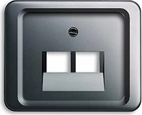 Busch-Jaeger Zentralscheibe 2-fach, platin