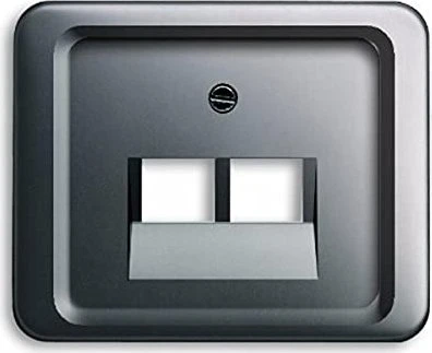 Busch-Jaeger Zentralscheibe 2-fach, platin