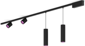 Philips Hue White and Color Ambiance Basis Perifo Schienensystem für die Decke gerade mit 2 Spots & 2 Pendelleuchten schwarz