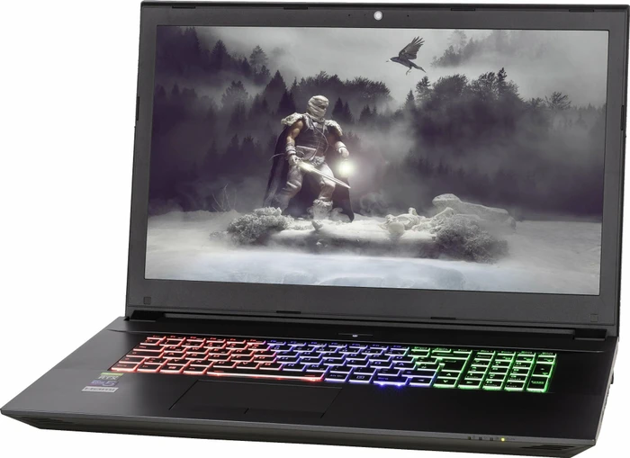 Captiva Highend Gaming I54-378, Core i5-9300H, 16GB RAM, 1TB SSD, GeForce RTX 2060, DE