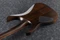 Ibanez RGRT421 WNF Walnut Flat Vorschaubild