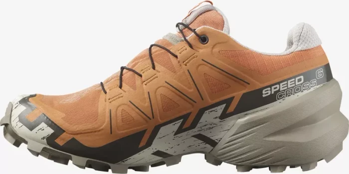 Salomon Speedcross 6 Gore-Tex coral gold/vintage khaki/rainy day (Damen)