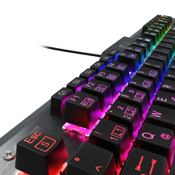 Lioncast LK300 RGB, Kailh RED, USB, DE