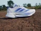 adidas Adizero Boston 12 cloud white/lucid blue/cobalt blue (Damen) Vorschaubild