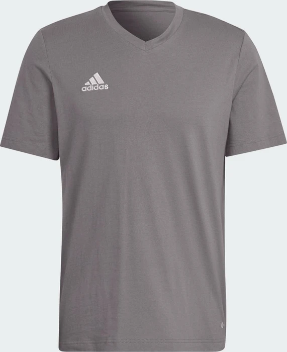 adidas Entrada 22 T-Shirt kurzarm team grey four (Herren)