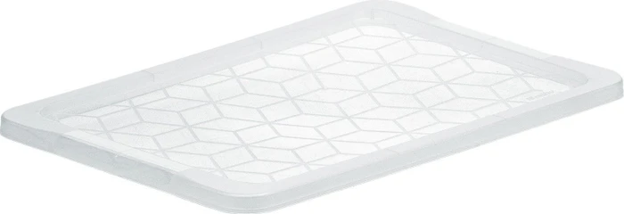 Rotho Evo Easy Storage Deckel für Aufbewahrungsbox 590x20x395mm, transparent/transparent