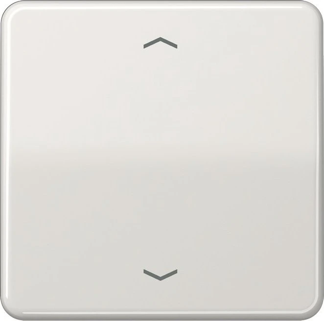 Jung Wippe 1fach, mit Pfeilsymbolen, Duroplast, Serie CD, lichtgrau