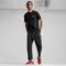 Puma Arizona Nylon intense red/vapor gray Vorschaubild