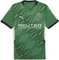 Puma Borussia Mönchengladbach 2024/2025 Auswärtstrikot (Herren) Vorschaubild