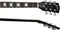 Gibson Adam Jones Les Paul Standard Vorschaubild