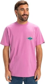 Quiksilver EV Beach Blast T-Shirt kurzarm violet (Herren)