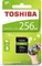 Toshiba High Speed N203 R100 256GB, UHS-I U1, Class 10 Vorschaubild