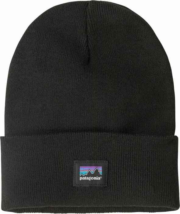 Patagonia Everyday Beanie