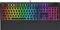 Endorfy SilentiumPC SPC Gear GK650K Omnis Pudding Edition, LEDs RGB, Kailh BLUE, USB, DE Vorschaubild