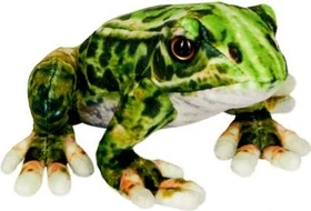 Coppenrath Nature Zoom Wild - Frosch 17cm