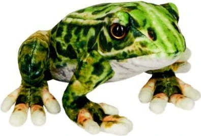 Coppenrath Nature Zoom Wild - Frosch 17cm