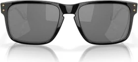 Oakley Holbrook Introspect Collection black/prizm black polarized