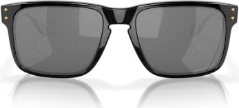 Oakley Holbrook Introspect Collection black/prizm black polarized