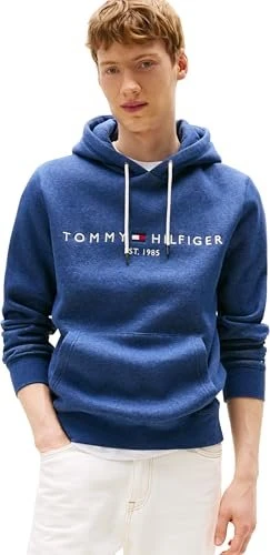 Tommy Hilfiger Hoodie mit Tunnelzug und aufgesticktem Logo Hoodie aegean sea (Herren)