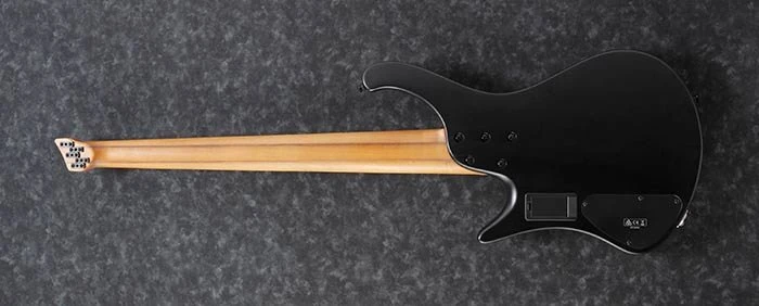 Ibanez EHB1005MS BKF Black Flat