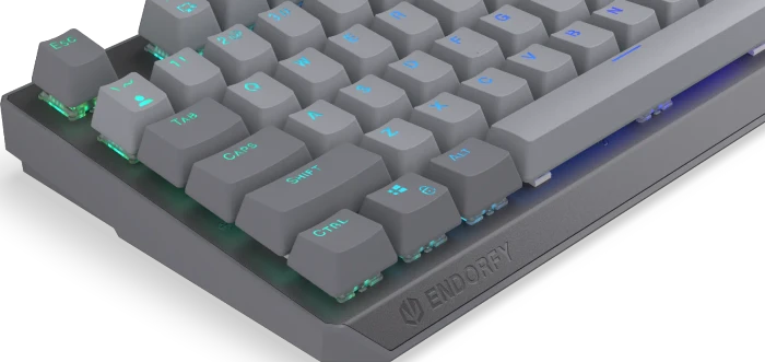 Endorfy Thock V2, PBT, grau, LEDs RGB, hot-swap, Endorfy RED, USB, US